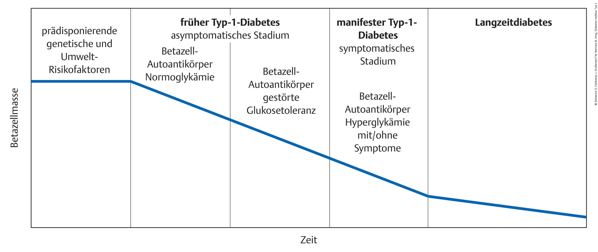 Abb.10.1Betazellmasse-im-Verlauf-des-Typ-1-Diabetes-und-diagnostische-Moeglichkeiten